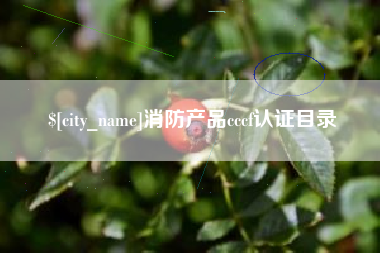 桂阳消防产品cccf认证目录