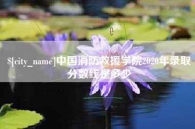 桂阳中国消防救援学院2020年录取分数线是多少