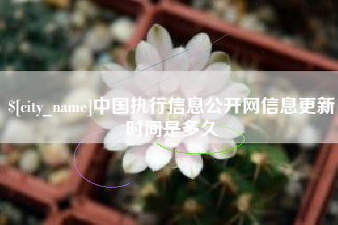 桂阳中国执行信息公开网信息更新时间是多久
