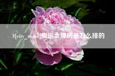 桂阳奥运金牌榜是怎么排的