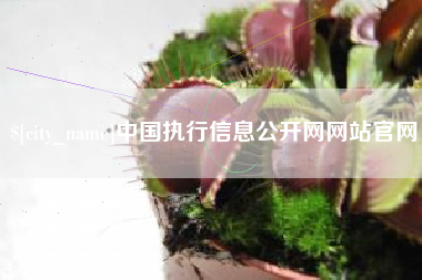 桂阳中国执行信息公开网网站官网
