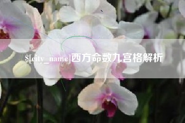 桂阳西方命数九宫格解析