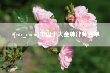 桂阳中国十大金牌律师名单