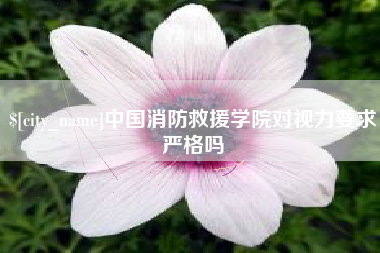 桂阳中国消防救援学院对视力要求严格吗