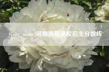 桂阳河南消防学校招生分数线
