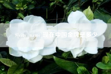 桂阳现在中国金牌是多少