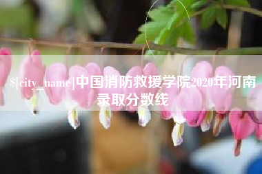 桂阳中国消防救援学院2020年河南录取分数线