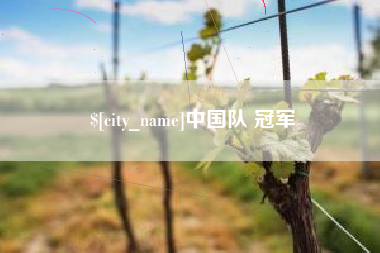 桂阳中国队 冠军
