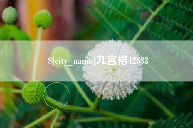 桂阳九宫格42633