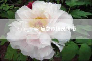 桂阳应急救援员价格