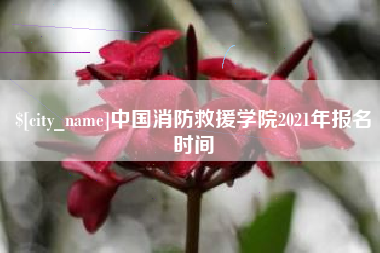 桂阳中国消防救援学院2021年报名时间