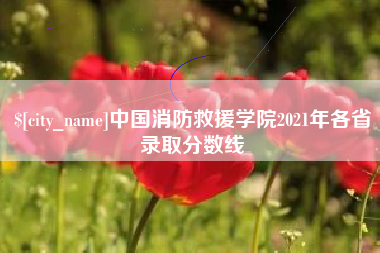 桂阳中国消防救援学院2021年各省录取分数线