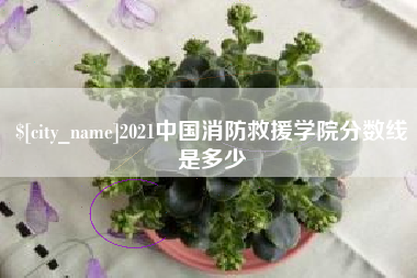 桂阳2021中国消防救援学院分数线是多少