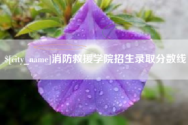 桂阳消防救援学院招生录取分数线