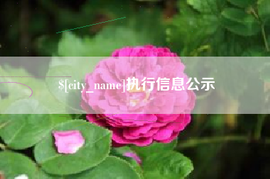 桂阳执行信息公示