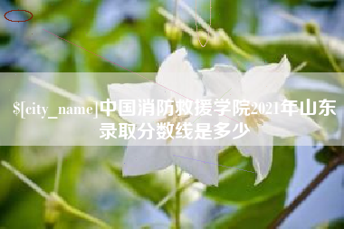 桂阳中国消防救援学院2021年山东录取分数线是多少