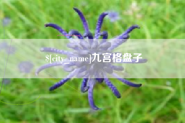 桂阳九宫格盘子