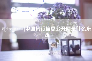 桂阳中国执行信息公开网是什么东西