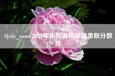 桂阳2021年中国消防学院录取分数线