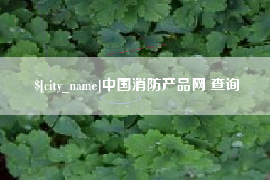桂阳中国消防产品网 查询