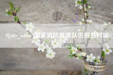 桂阳国家消防救援队伍报名网址