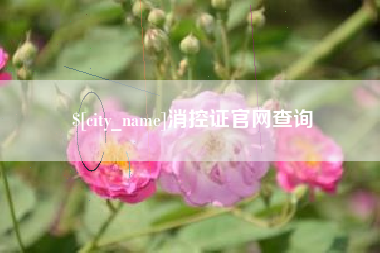 桂阳消控证官网查询