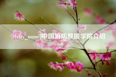 桂阳中国消防救援学院介绍