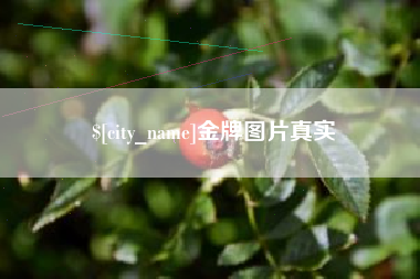 桂阳金牌图片真实