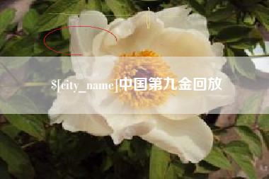 桂阳中国第九金回放