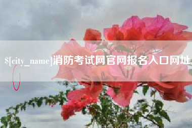 桂阳消防考试网官网报名入口网址