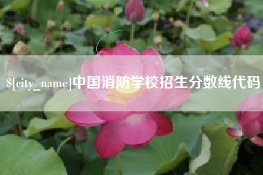 桂阳中国消防学校招生分数线代码