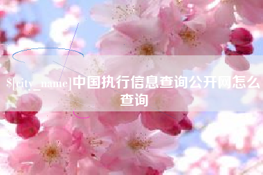桂阳中国执行信息查询公开网怎么查询