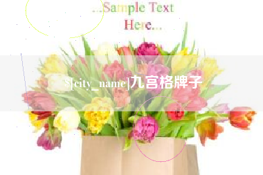 桂阳九宫格牌子