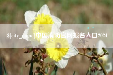 桂阳中国消防官网报名入口2024