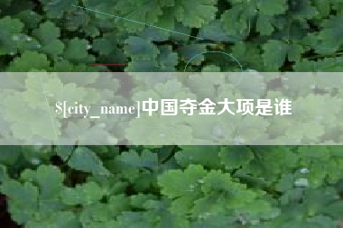 桂阳中国夺金大项是谁