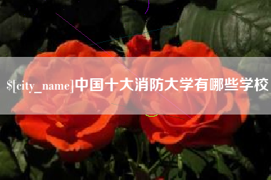 桂阳中国十大消防大学有哪些学校