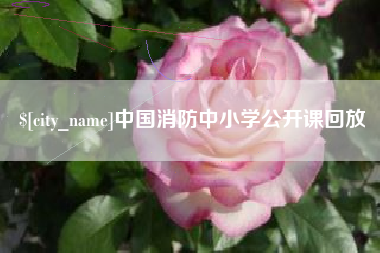 桂阳中国消防中小学公开课回放