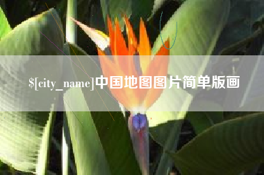 桂阳中国地图图片简单版画