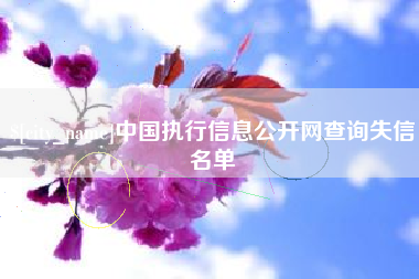 桂阳中国执行信息公开网查询失信名单
