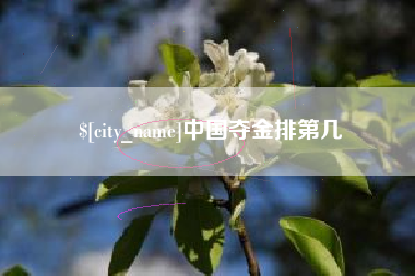 桂阳中国夺金排第几
