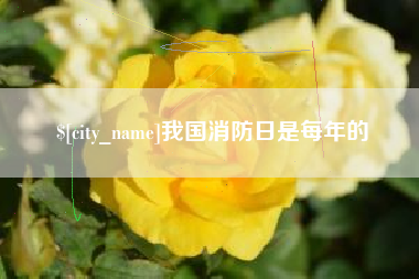 桂阳我国消防日是每年的