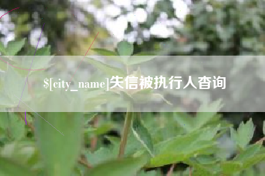 桂阳失信被执行人杳询