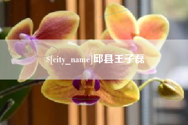桂阳邱县王子磊