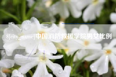 桂阳中国消防救援学院男女比例