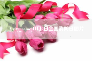 桂阳11月9日全国消防日图片