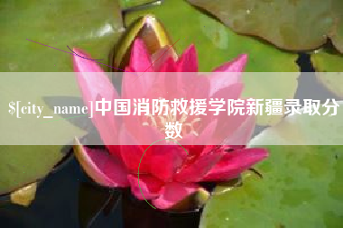 桂阳中国消防救援学院新疆录取分数