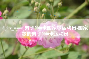 桂阳男子5000米国家级运动员-国家级的男子5000米运动员