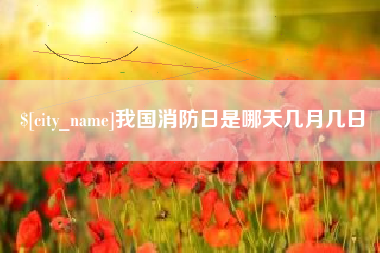 桂阳我国消防日是哪天几月几日