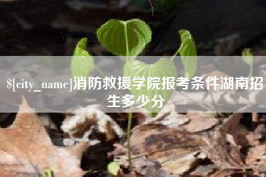 桂阳消防救援学院报考条件湖南招生多少分