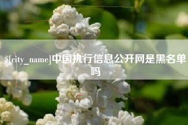 桂阳中国执行信息公开网是黑名单吗